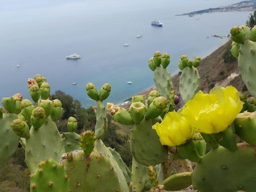 Da Cristina Con Amore Lägenhet Taormina Exteriör bild