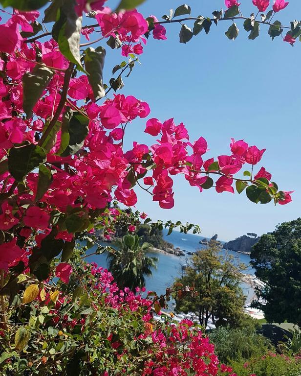 Da Cristina Con Amore Lägenhet Taormina Exteriör bild